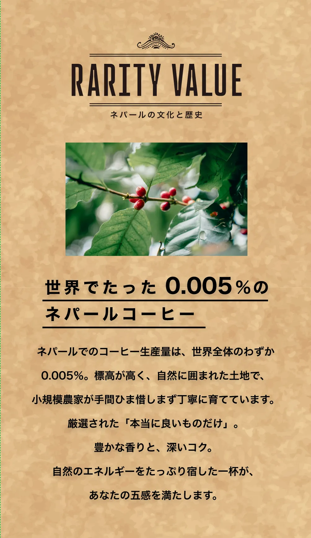 カトマンズゴールドの希少性